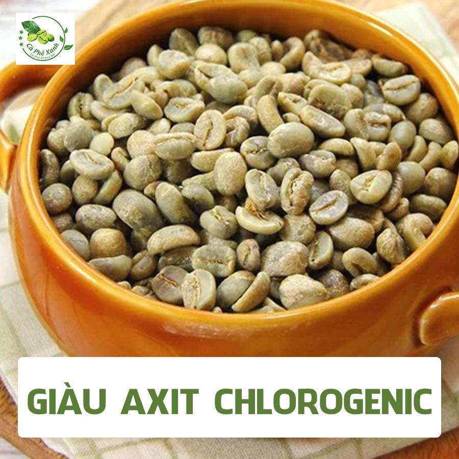 Cà phê Xanh có gì khác so với các loại cà phê thông thường?