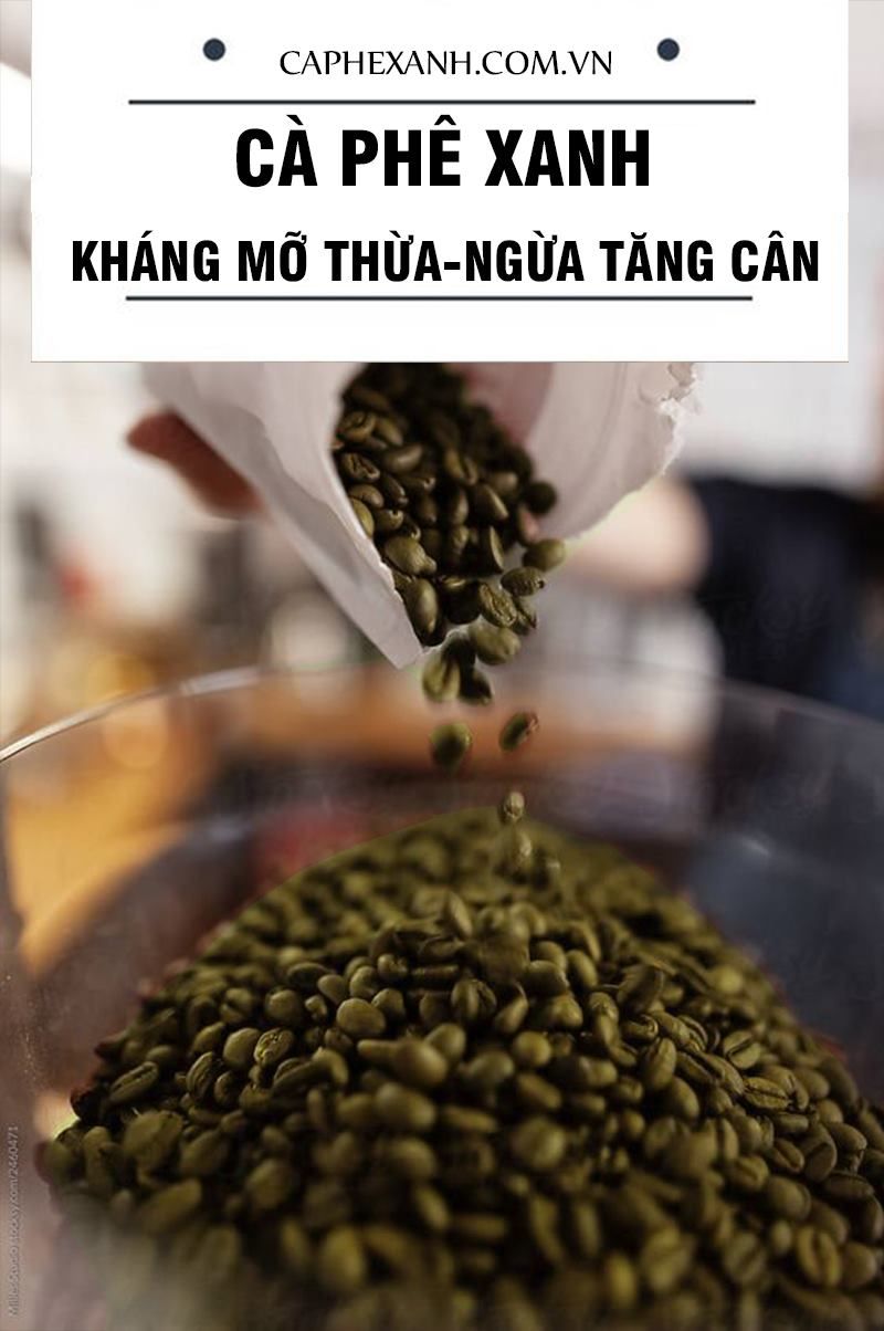 Kháng mỡ thừa - ngừa tăng cân, nói không với bụng xệ, eo to
