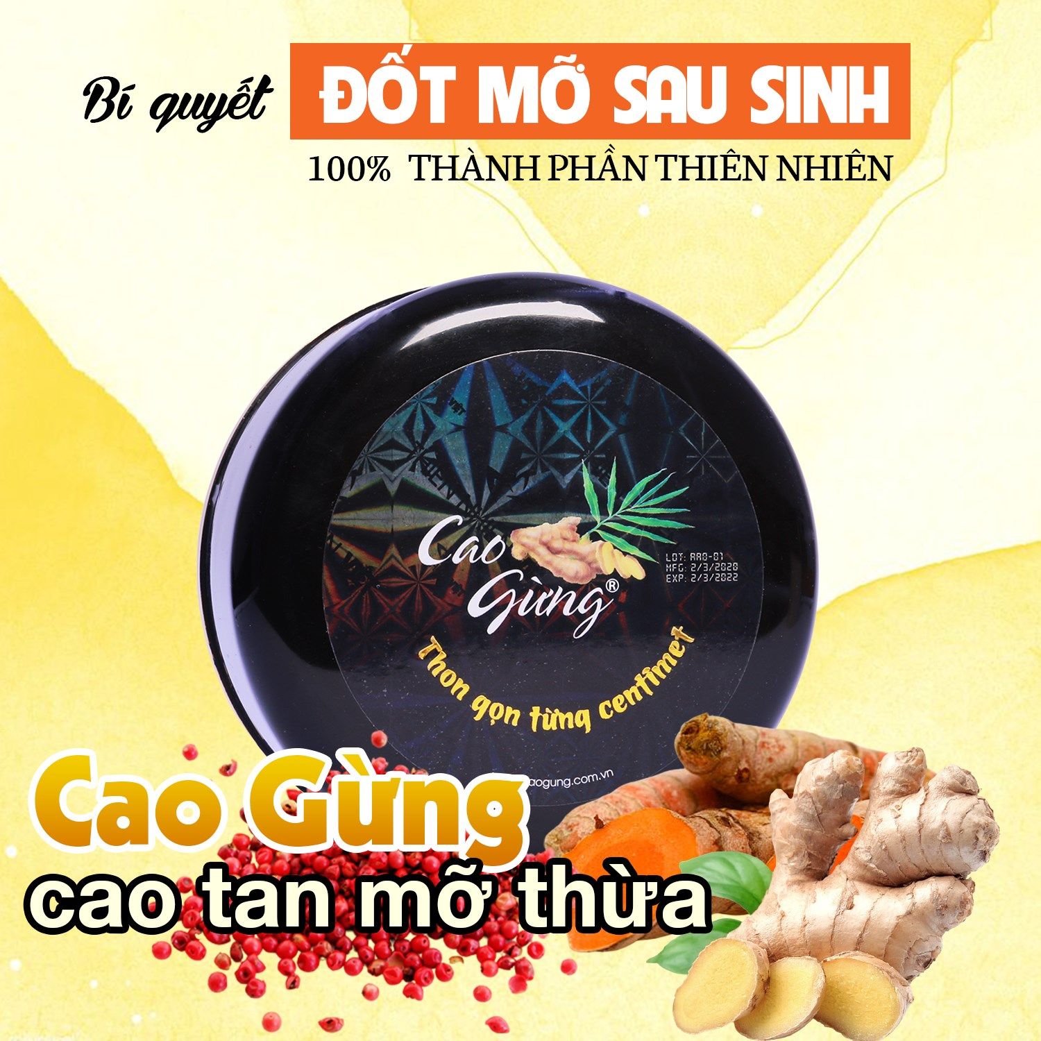 Đốt mỡ thừa sau sinh với Cao Gừng