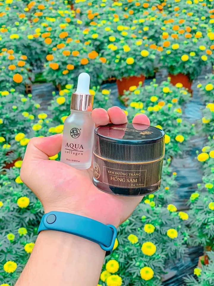 Combo kem hồng sâm bà lão kết hợp Aqua collagen bà lão Combo kem hồng sâm bà lão kết hợp Aqua collagen bà lão