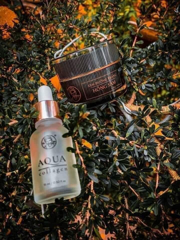 Combo kem hồng sâm bà lão kết hợp Aqua collagen bà lão Combo kem hồng sâm bà lão kết hợp Aqua collagen bà lão