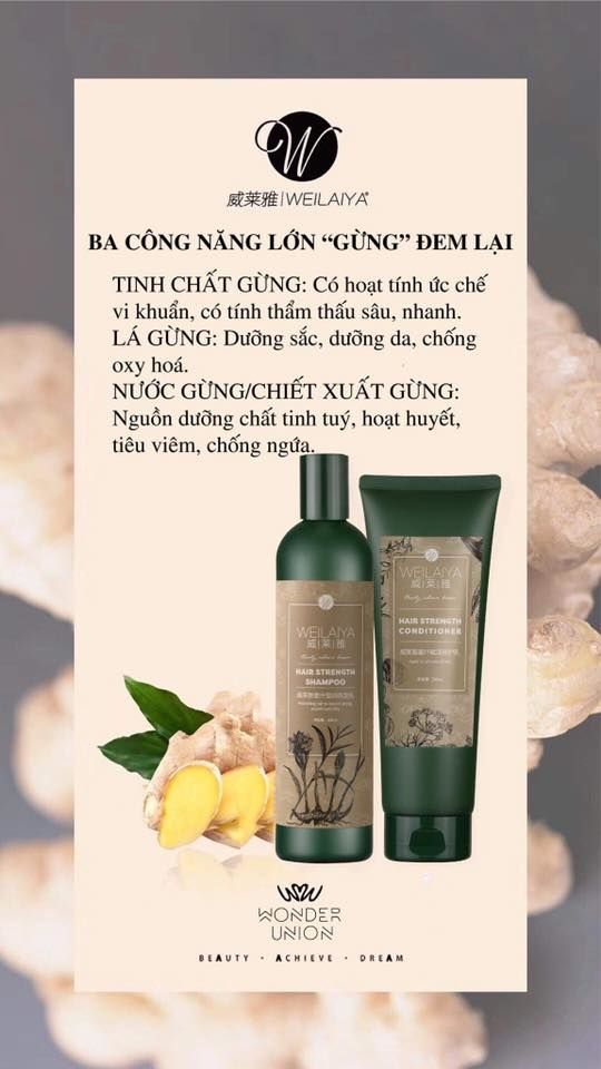 Combo dầu gội xả gừng hà thủ ô Weilaiya chính hãng Combo dầu gội xả gừng hà thủ ô Weilaiya chính hãng