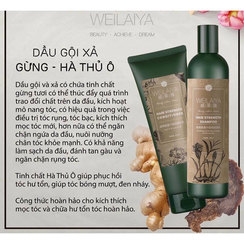 Combo dầu gội xả gừng hà thủ ô Weilaiya chính hãng Combo dầu gội xả gừng hà thủ ô Weilaiya chính hãng