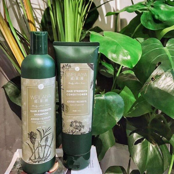 Combo dầu gội xả gừng hà thủ ô Weilaiya chính hãng Combo dầu gội xả gừng hà thủ ô Weilaiya chính hãng