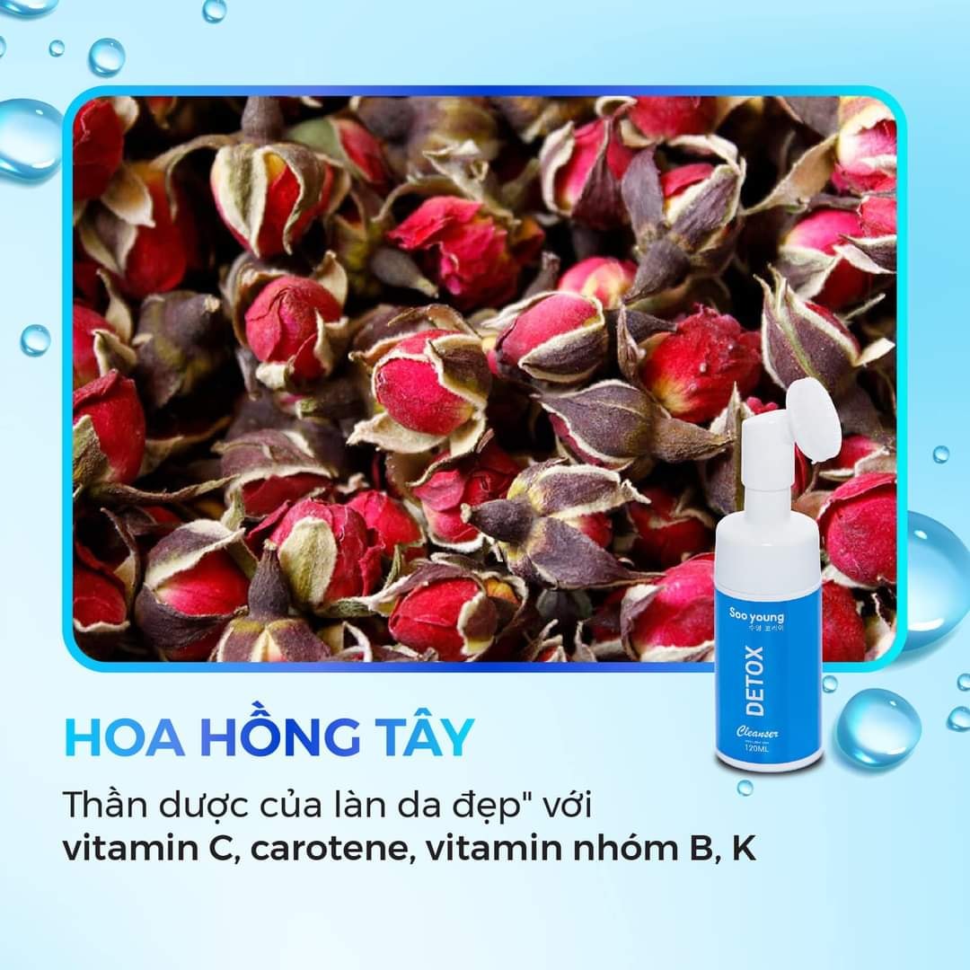 Sữa rửa mặt Detox Cleanser Soo Young có gì hot? Sữa rửa mặt Detox Cleanser Soo Young có gì hot?