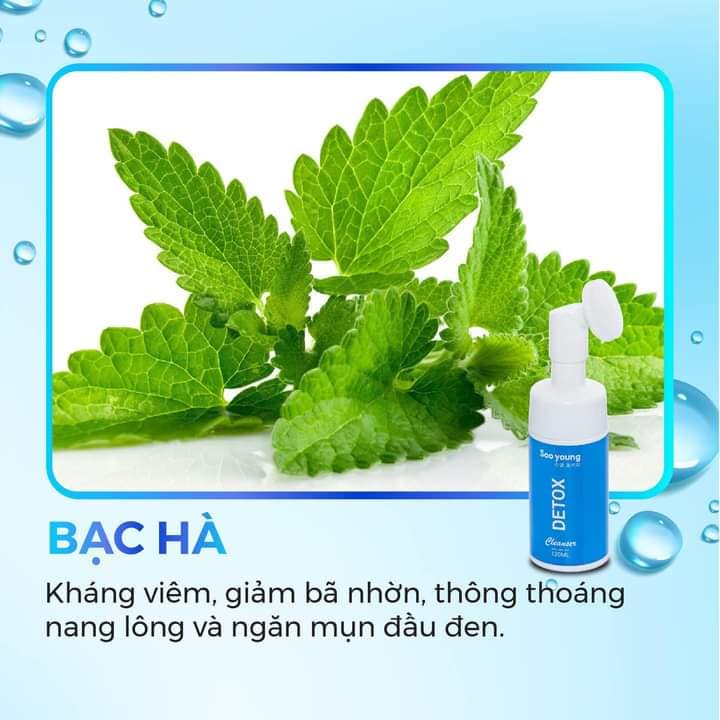 Sữa rửa mặt Detox Cleanser Soo Young có gì hot? Sữa rửa mặt Detox Cleanser Soo Young có gì hot?