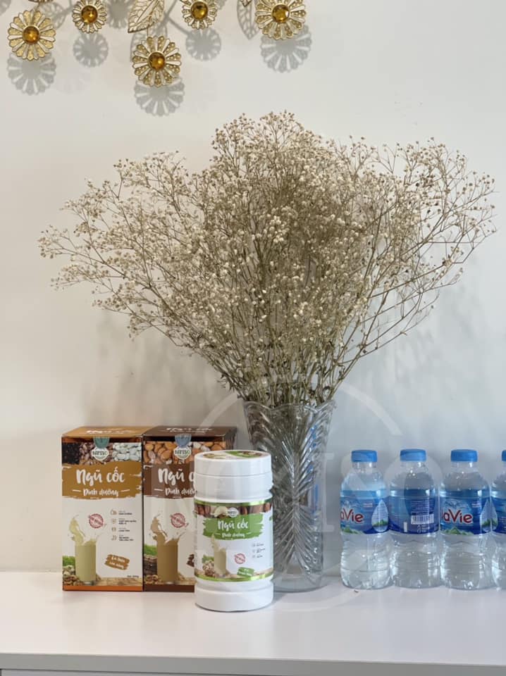 Ngủ cốc dinh dưỡng Namiso hoàn hảo cho bé Ngủ cốc dinh dưỡng Namiso hoàn hảo cho bé