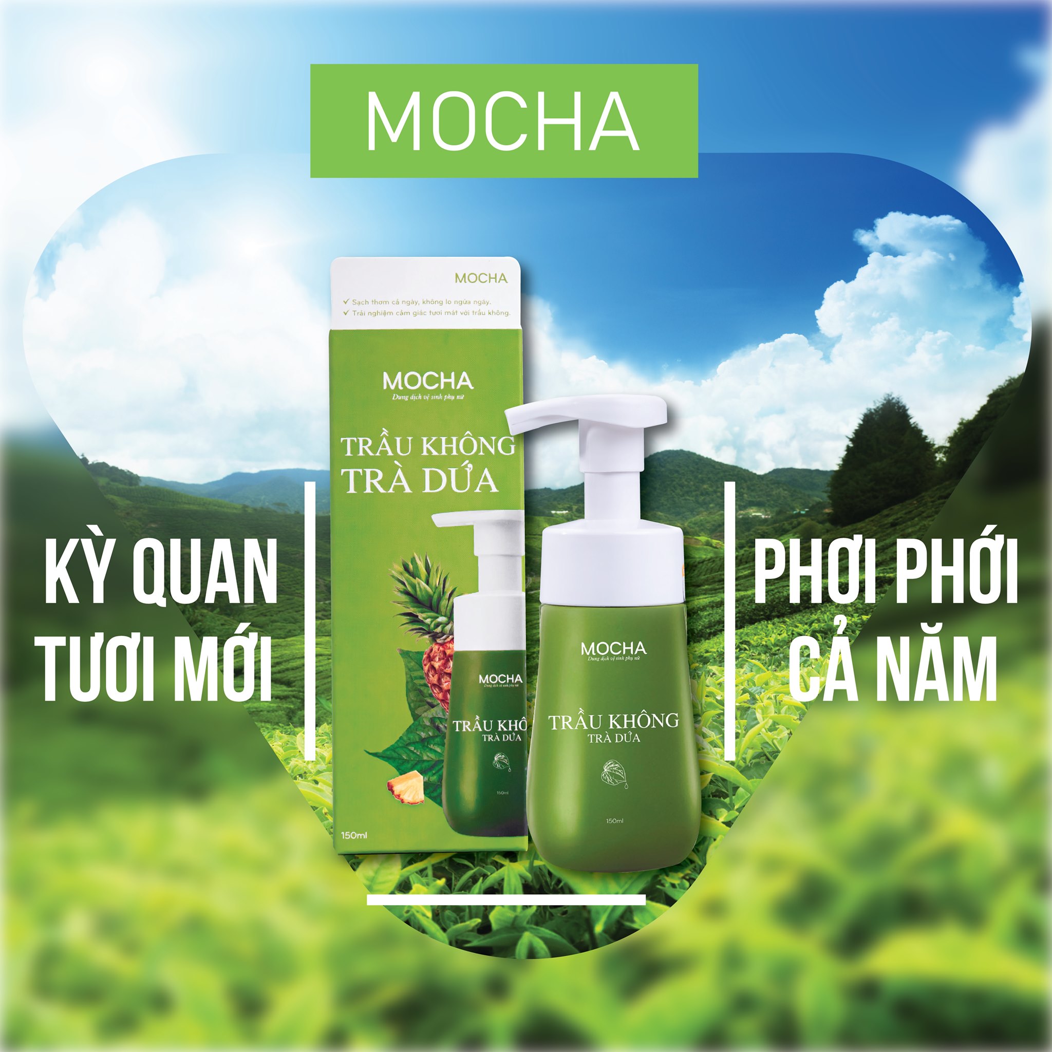 Dung dich vệ sinh trầu không trà dứa Mocha chính hãng Dung dich vệ sinh trầu không trà dứa Mocha chính hãng