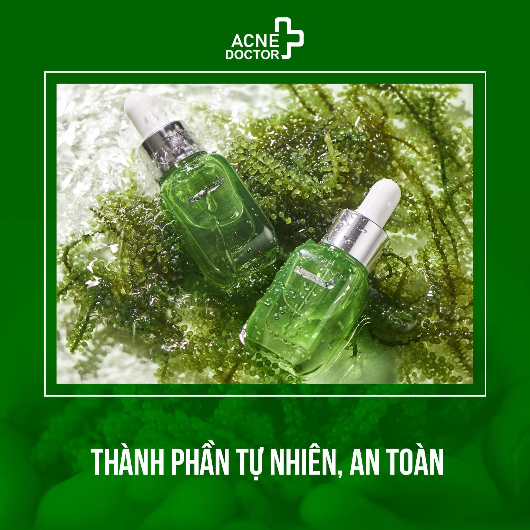 Serum trị mụn Sea Bzapes rong nho Acne Doctor chính hãng Serum trị mụn Sea Bzapes rong nho Acne Doctor chính hãng