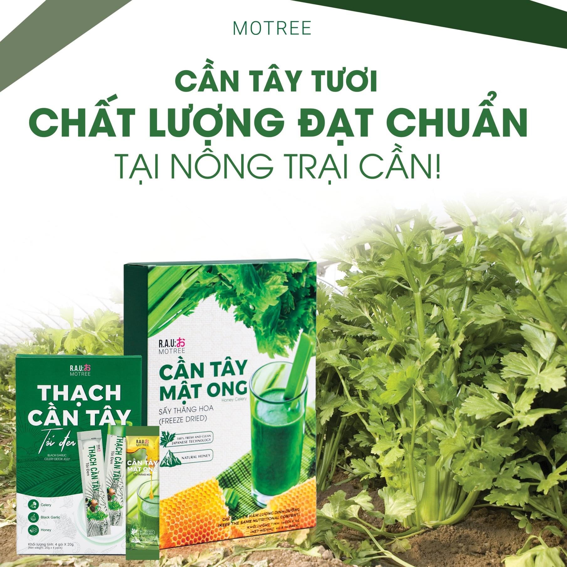 Mua 3 Cần tây Mật Ong tặng 1 thạch cần tây tỏi đen Mua 3 Cần tây Mật Ong tặng 1 thạch cần tây tỏi đen