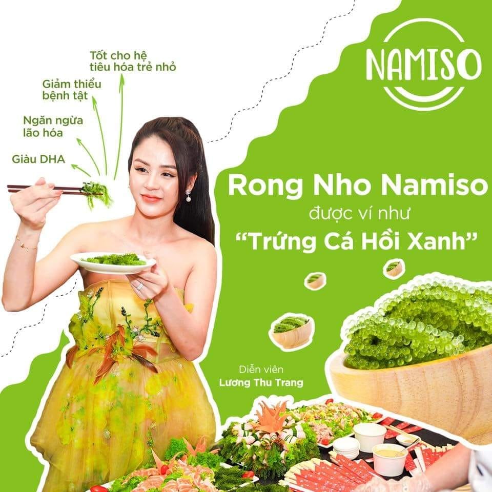 Rong nho namiso - lựa chọn số 1 cho cả gia đình bạn mùa hè Rong nho namiso - lựa chọn số 1 cho cả gia đình bạn mùa hè