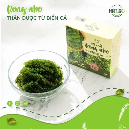 Rong nho namiso - lựa chọn số 1 cho cả gia đình bạn mùa hè