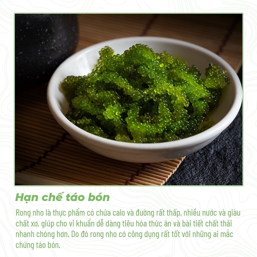 3 tác dụng bất bờ đến từ món quà Rong nho Namiso tặng gia đình 3 tác dụng bất bờ đến từ món quà Rong nho Namiso tặng gia đình