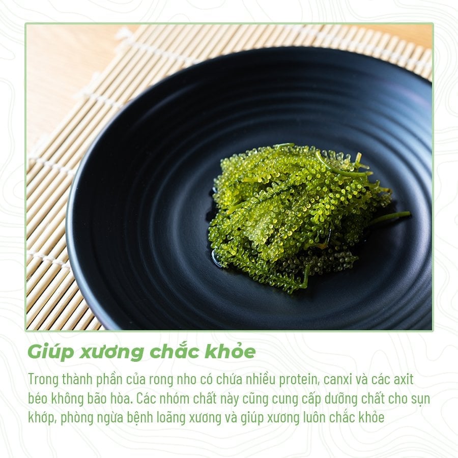 3 tác dụng bất bờ đến từ món quà Rong nho Namiso tặng gia đình 3 tác dụng bất bờ đến từ món quà Rong nho Namiso tặng gia đình