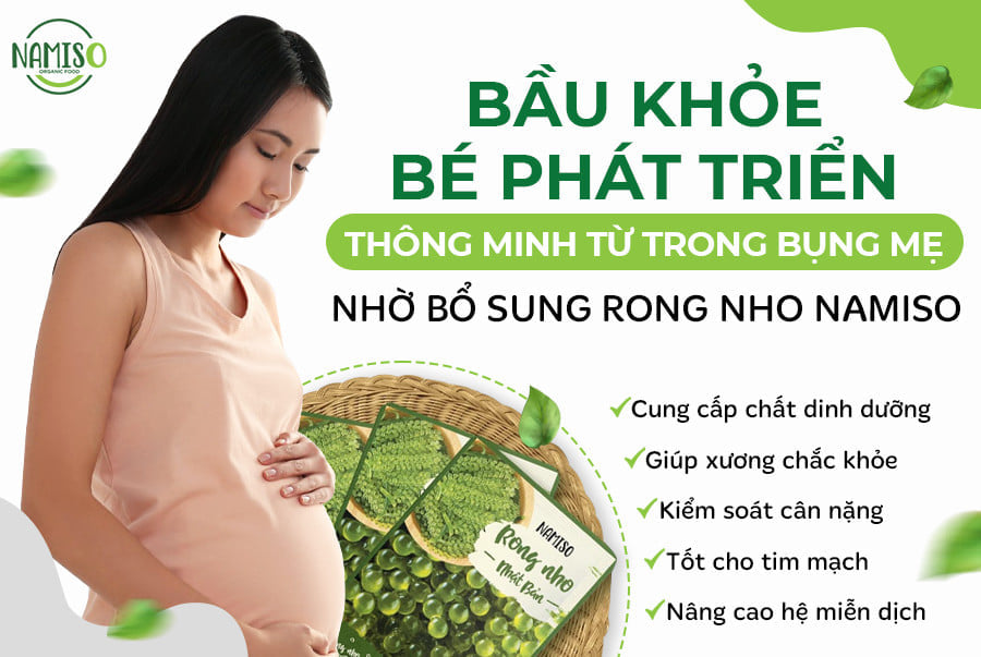 Bé phát triển thông minh từ trong bụng mẹ nhờ bổ sung Rong nho Namiso