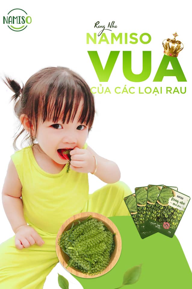 Rong nho Namiso - món ăn phù hợp từ trẻ em đến người già Rong nho Namiso - món ăn phù hợp từ trẻ em đến người già