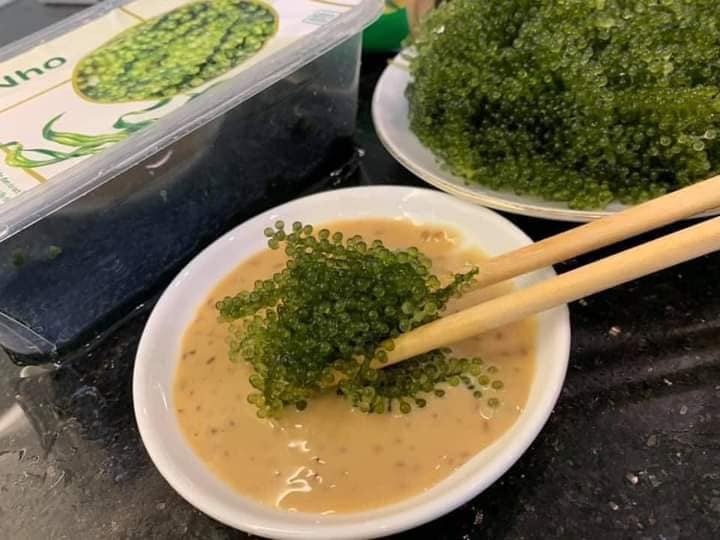 Rong Nho Namiso - Đệ Nhất Rong Nho Nhật Bản Rong Nho Namiso - Đệ Nhất Rong Nho Nhật Bản