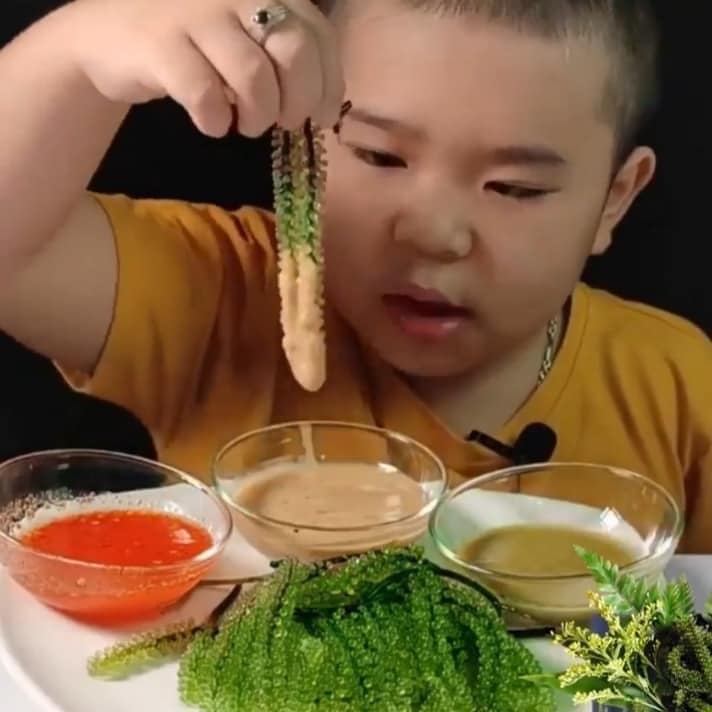 Rong nho Namiso - giúp mẹ giải quyết nỗi lo lười ăn rau của trẻ Rong nho Namiso - giúp mẹ giải quyết nỗi lo lười ăn rau của trẻ