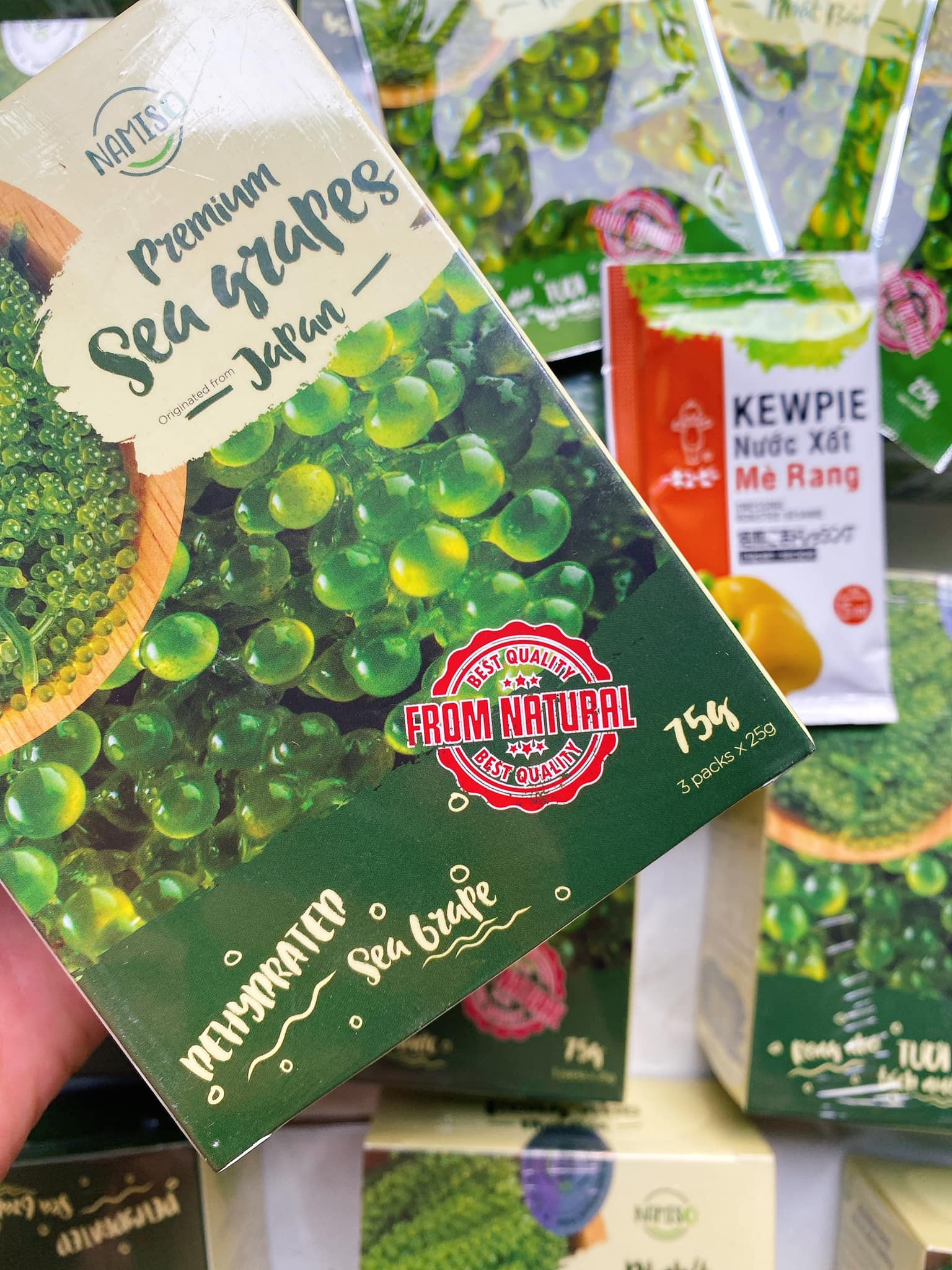 Rong nho Namiso - giúp mẹ giải quyết nỗi lo lười ăn rau của trẻ Rong nho Namiso - giúp mẹ giải quyết nỗi lo lười ăn rau của trẻ