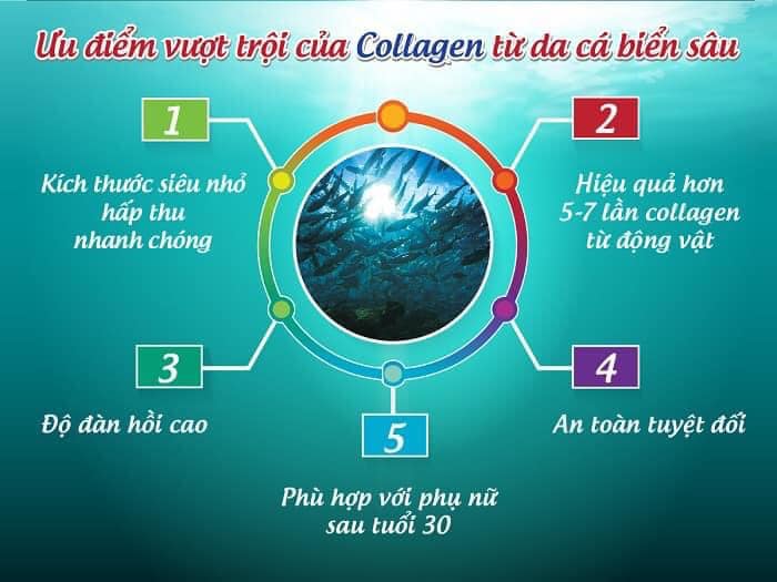 Sự thật về collagen của cốm Bách Hoa Tiên không phải ai cũng biết Sự thật về collagen của cốm Bách Hoa Tiên không phải ai cũng biết
