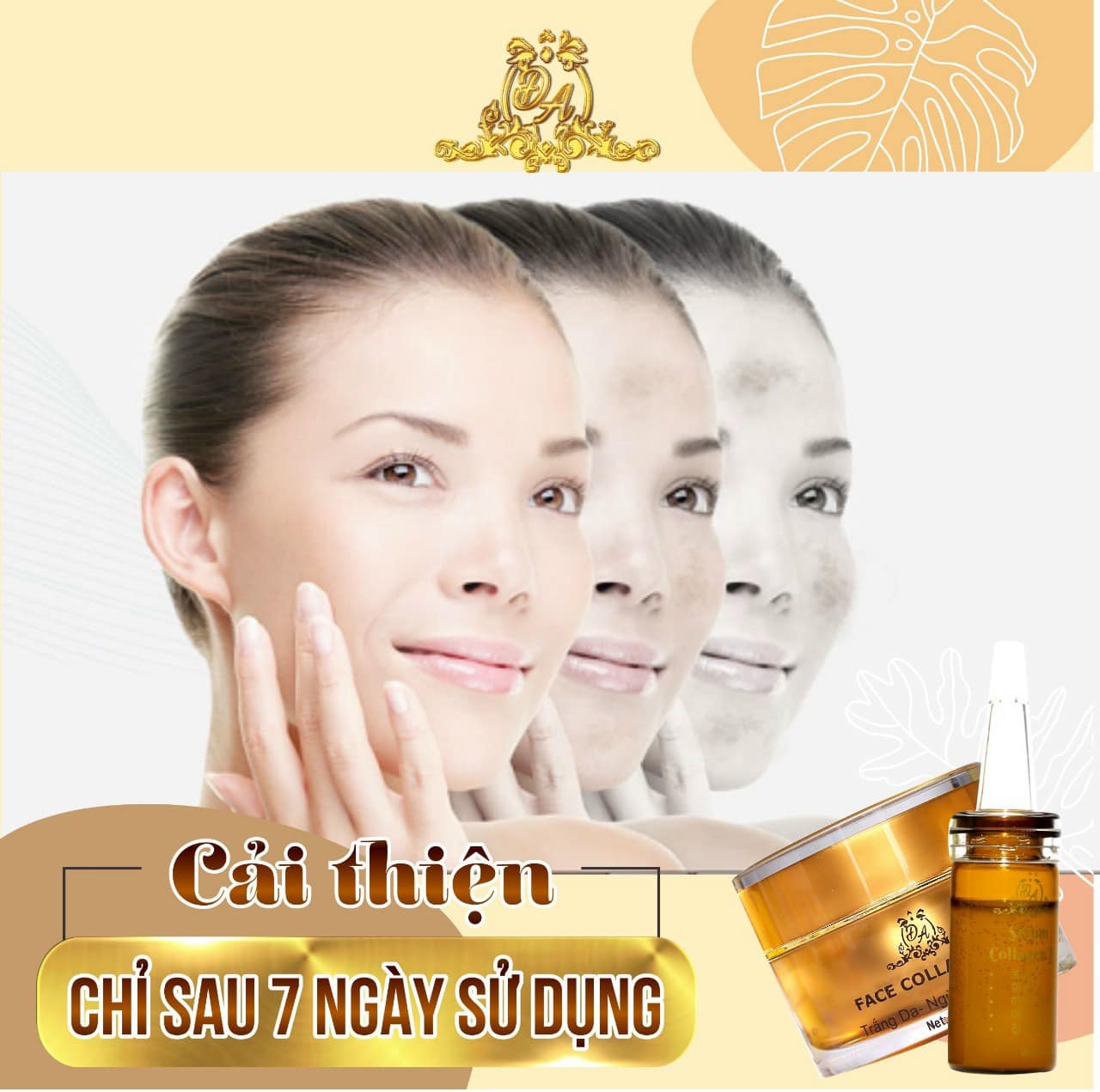 Chất lượng tạo nên thương hiệu bộ đôi siêu phẩm Face và Serum collagen x3 Chất lượng tạo nên thương hiệu bộ đôi siêu phẩm Face và Serum collagen x3