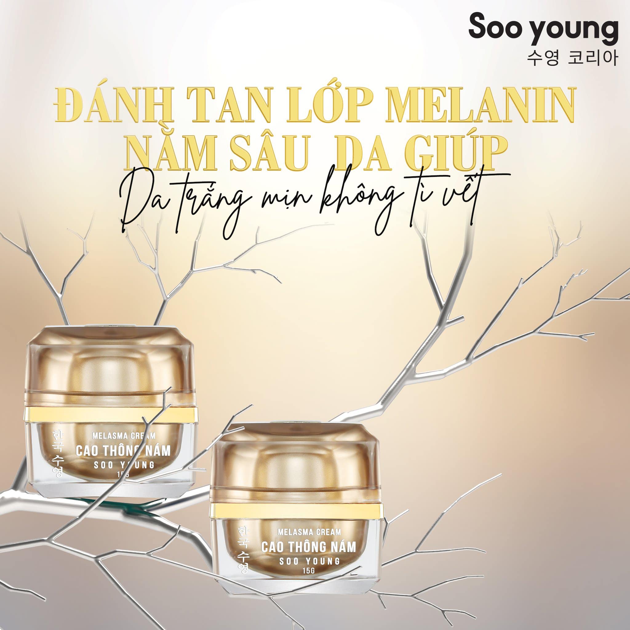 Cao thông nám - thần dược của làn da nám tàn nhang Cao thông nám - thần dược của làn da nám tàn nhang