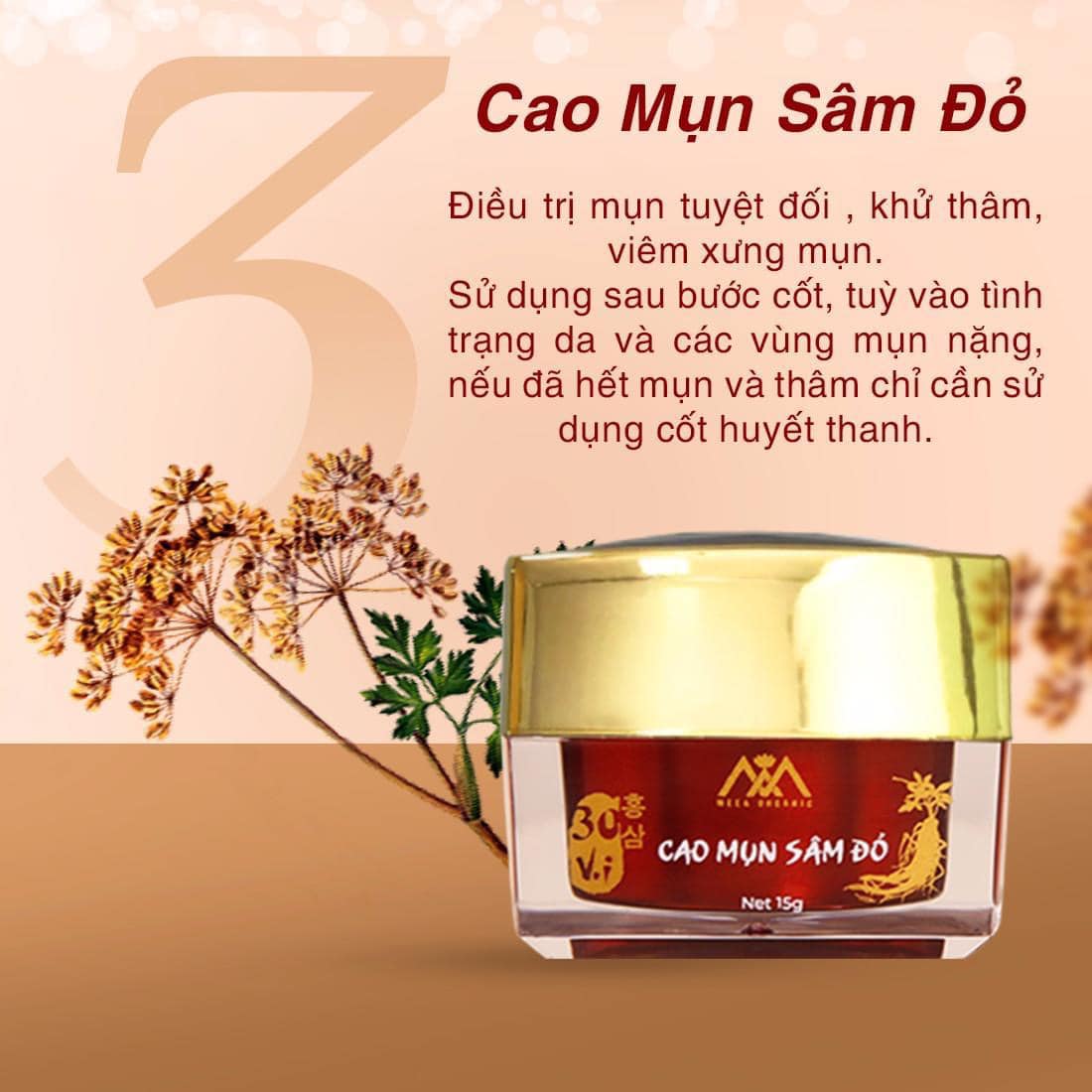 Cùng 36 vị trải nghiệm chu trình treatment đông y thảo dược Cùng 36 vị trải nghiệm chu trình treatment đông y thảo dược