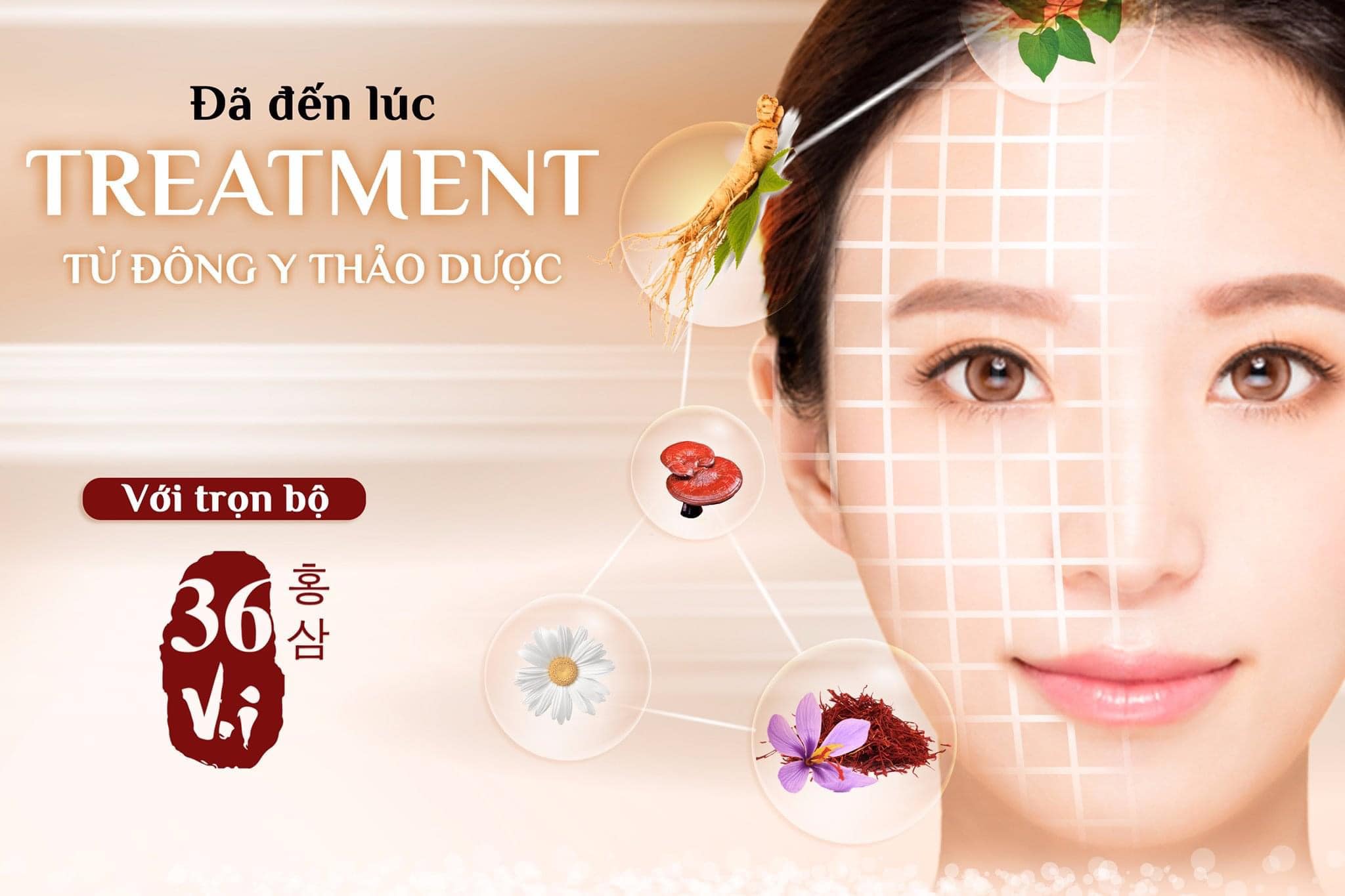 Cùng 36 vị trải nghiệm chu trình treatment đông y thảo dược