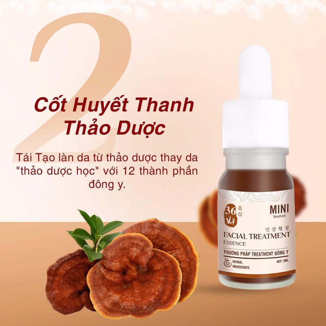 Cùng 36 vị trải nghiệm chu trình treatment đông y thảo dược Cùng 36 vị trải nghiệm chu trình treatment đông y thảo dược