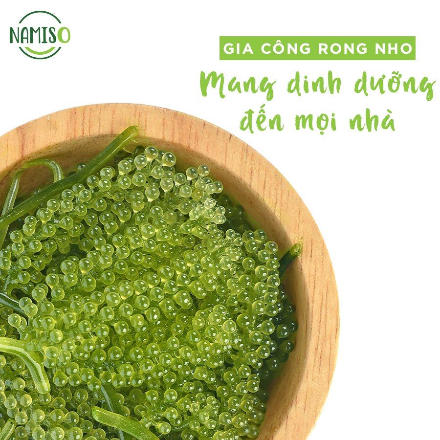 Bổ sung năng lượng mùa hè cùng rong nho NAMISO Bổ sung năng lượng mùa hè cùng rong nho NAMISO