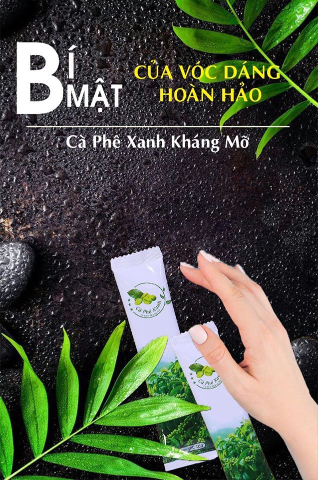 Ở nhà chăm dáng, chẳng lo mỡ thừa với siêu phẩm Cà Phê Xanh