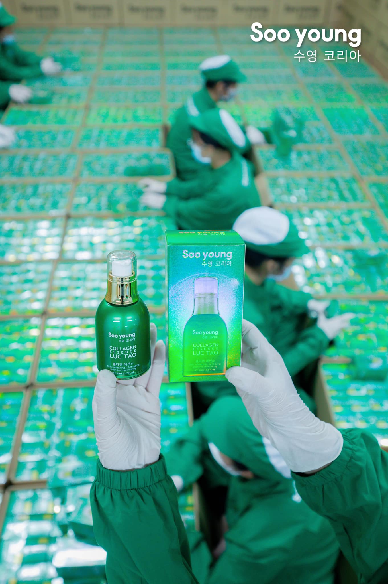 Tinh chất Collagen Lục tảo Soo Young Chính hãng Tinh chất Collagen Lục tảo Soo Young Chính hãng