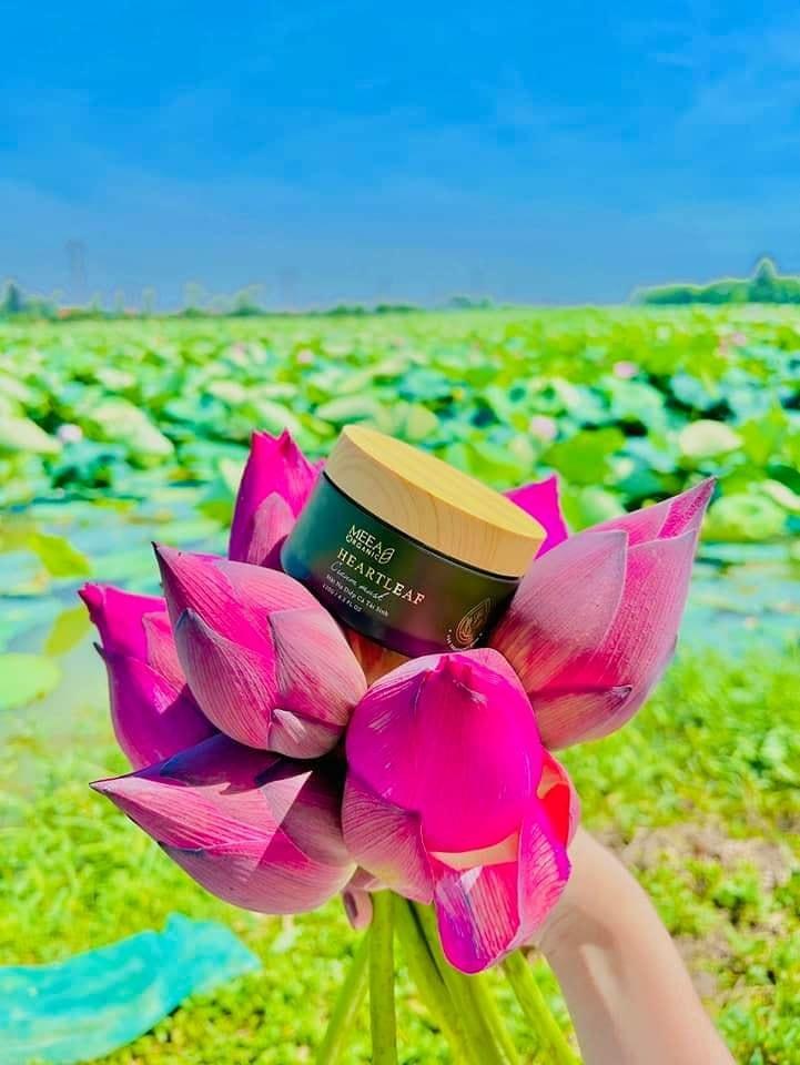 Mask diếp cá Meea Organic hot nhất thị trường