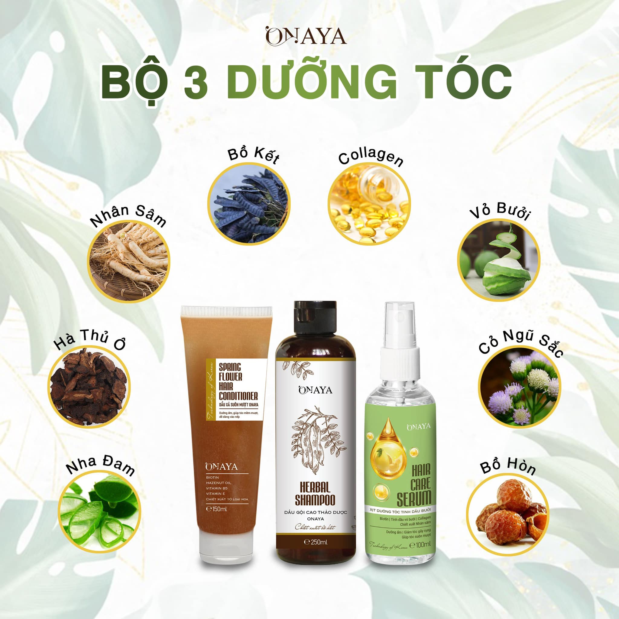 Mái Tóc Khỏe Đẹp Với Dầu Gội Cao Thảo Dược ONAYA Mái Tóc Khỏe Đẹp Với Dầu Gội Cao Thảo Dược ONAYA