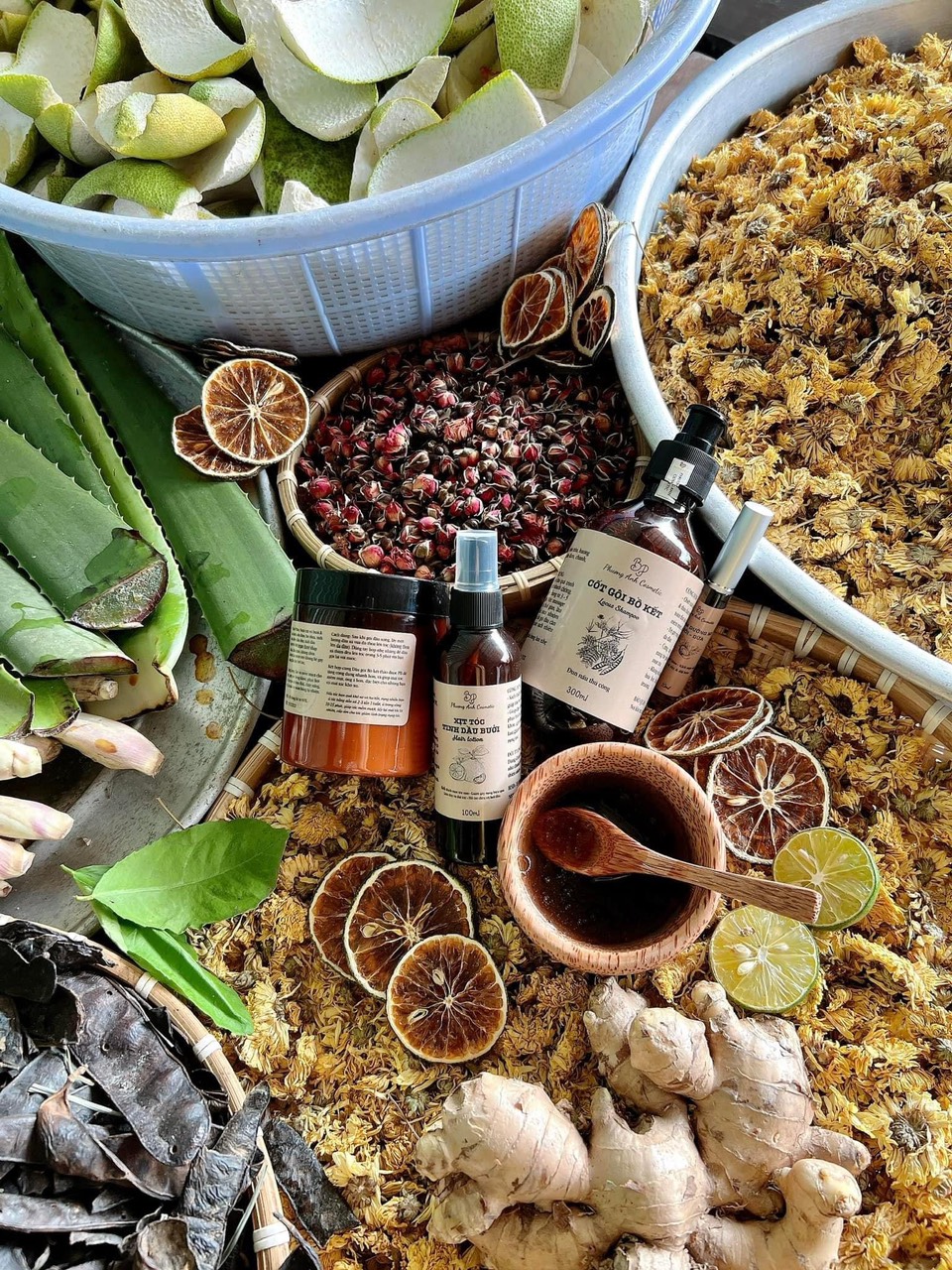 Combo Dầu Gội Cốt Bồ Kế Dầu Xả Bưởi Dừa BP Phương Anh Cosmetic Combo Dầu Gội Cốt Bồ Kế Dầu Xả Bưởi Dừa BP Phương Anh Cosmetic