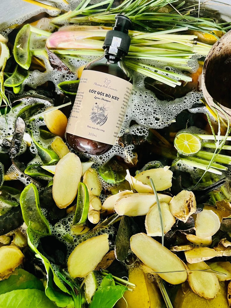 Combo cốt gội bồ kết ủ xả bưởi dừa đun nấu thủ công cho mái tóc chắc khỏe Combo cốt gội bồ kết ủ xả bưởi dừa đun nấu thủ công cho mái tóc chắc khỏe