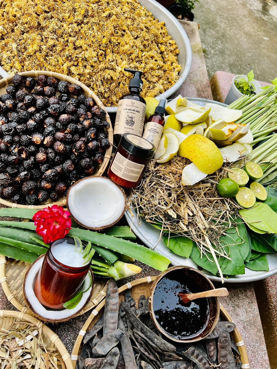 Combo cốt gội bồ kết ủ xả bưởi dừa đun nấu thủ công cho mái tóc chắc khỏe Combo cốt gội bồ kết ủ xả bưởi dừa đun nấu thủ công cho mái tóc chắc khỏe