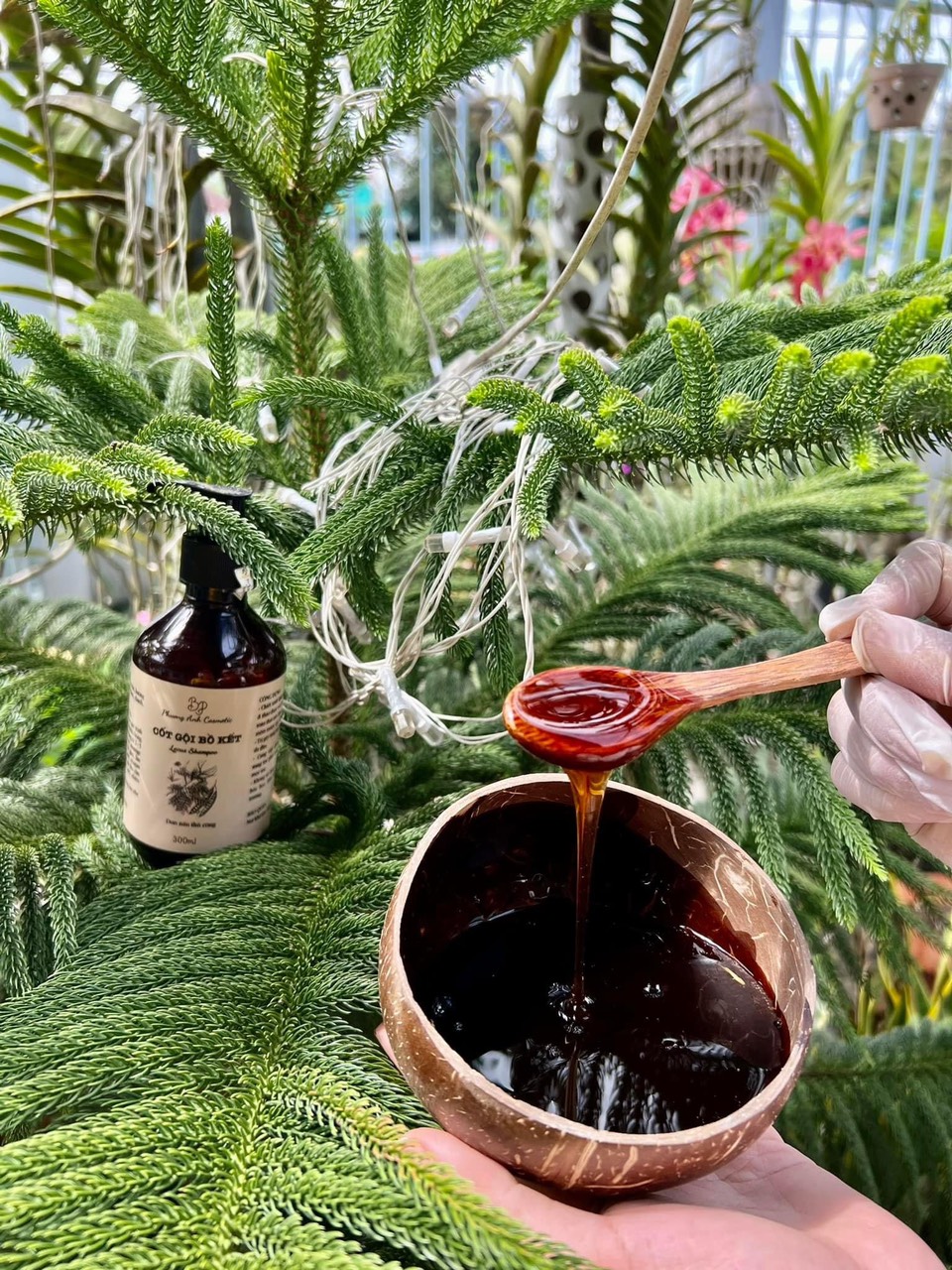 Combo cốt gội bồ kết ủ xả bưởi dừa đun nấu thủ công cho mái tóc chắc khỏe Combo cốt gội bồ kết ủ xả bưởi dừa đun nấu thủ công cho mái tóc chắc khỏe