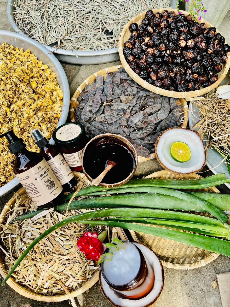 Combo Cốt Gội Bồ Kết nhà Phương Anh Cosmetic được chị em tin dùng Combo Cốt Gội Bồ Kết nhà Phương Anh Cosmetic được chị em tin dùng