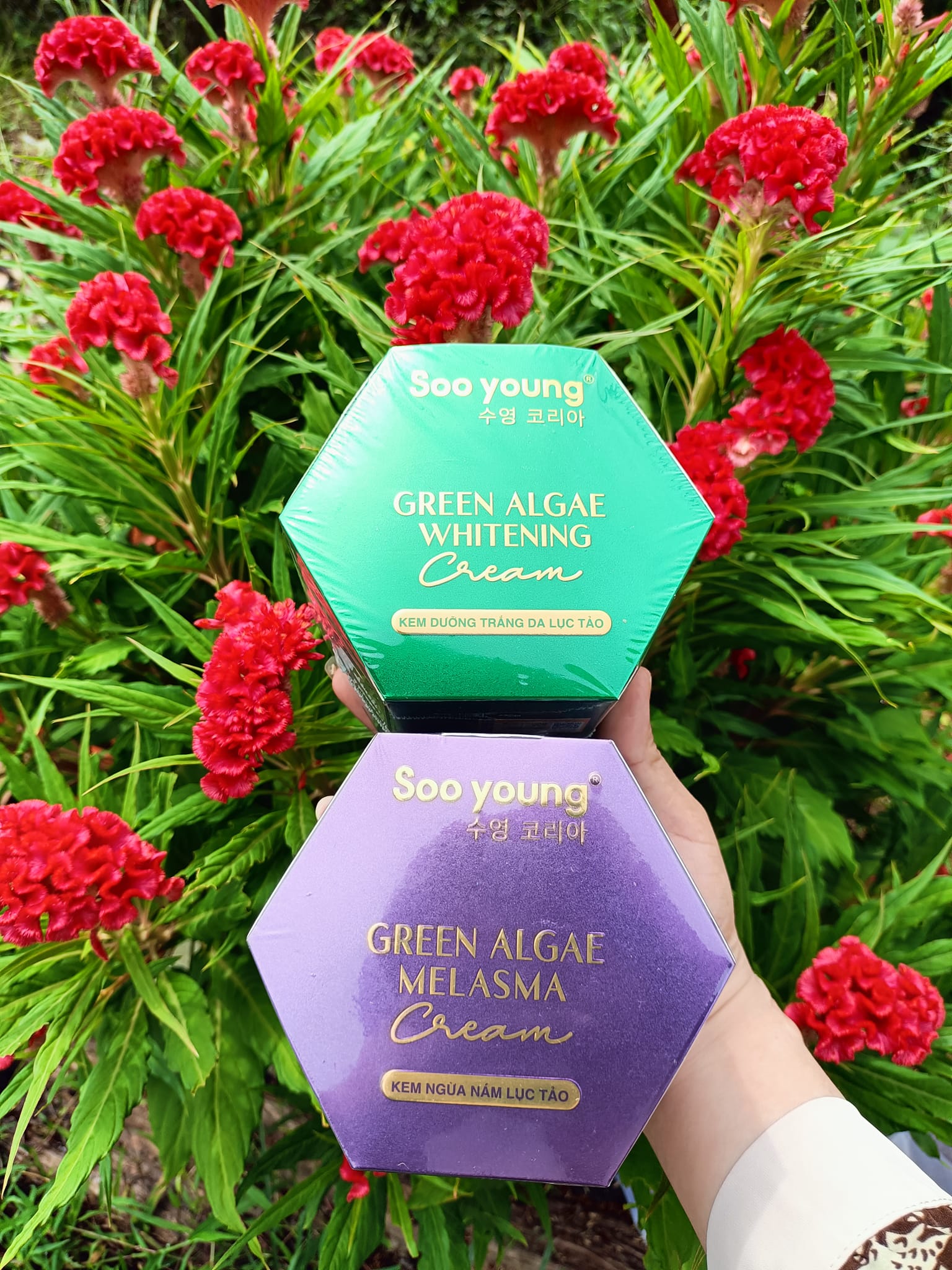 Tạm Biệt Nám Da Với Kem Face Tím Giảm Nám Melasma Soo Young Tạm Biệt Nám Da Với Kem Face Tím Giảm Nám Melasma Soo Young