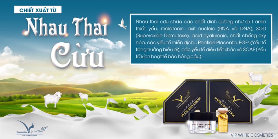 Kem Face Vip White Mang Làn Da Trắng Sáng Về Cho Bạn Kem Face Vip White Mang Làn Da Trắng Sáng Về Cho Bạn