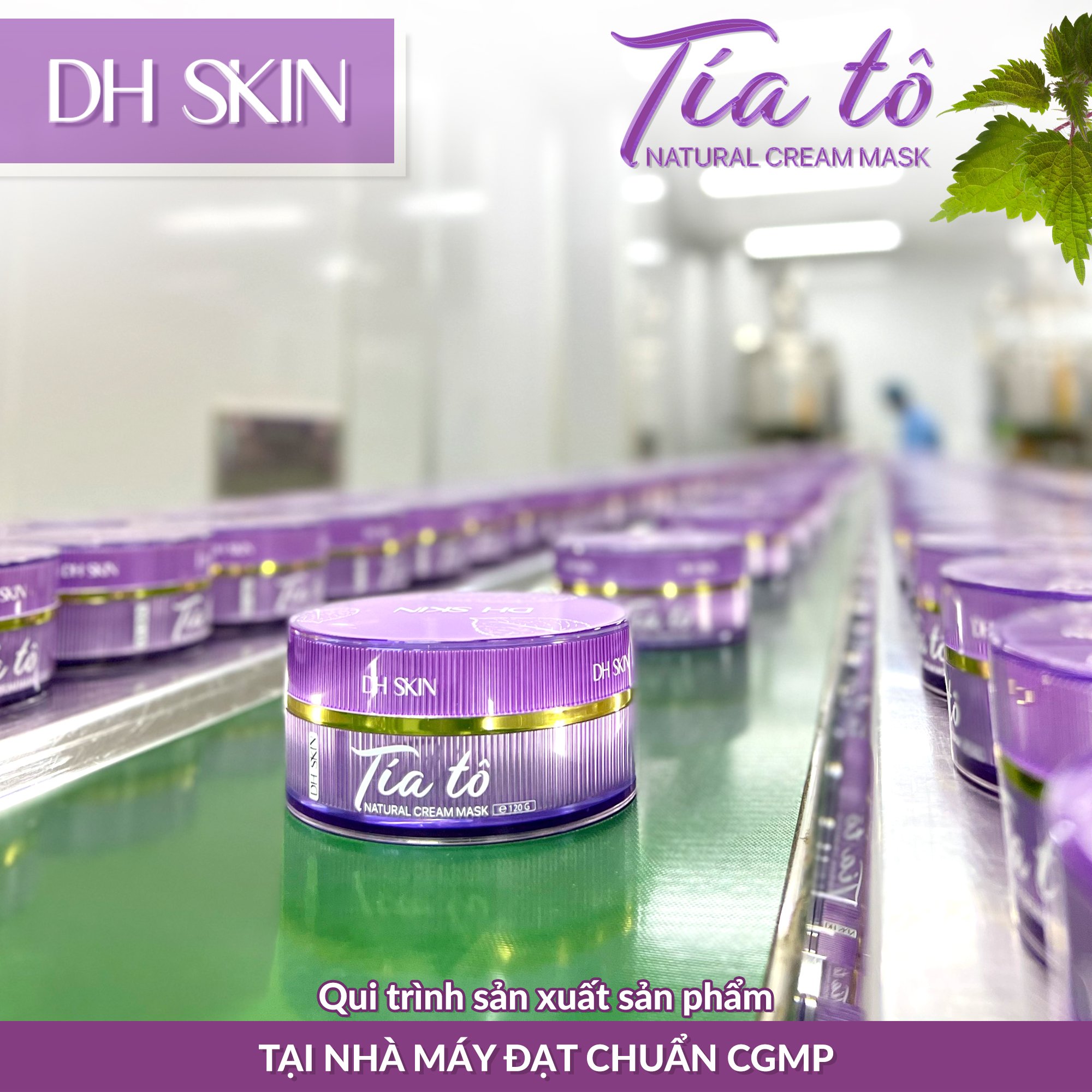 Đắp Mặt Nạ Tía Tô Mỗi Ngày Đắp Mặt Nạ Tía Tô Mỗi Ngày