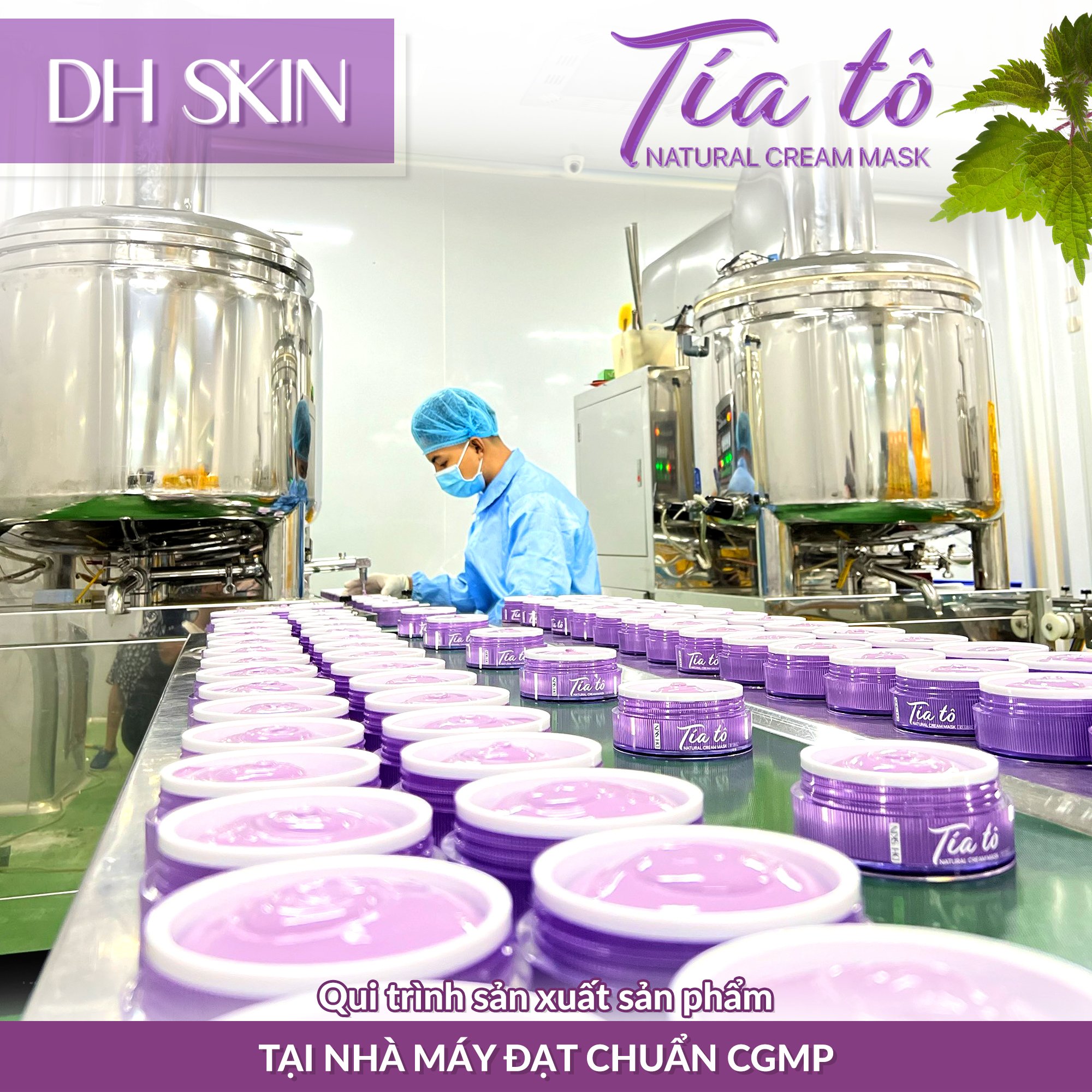 Đắp Mặt Nạ Tía Tô Mỗi Ngày Đắp Mặt Nạ Tía Tô Mỗi Ngày