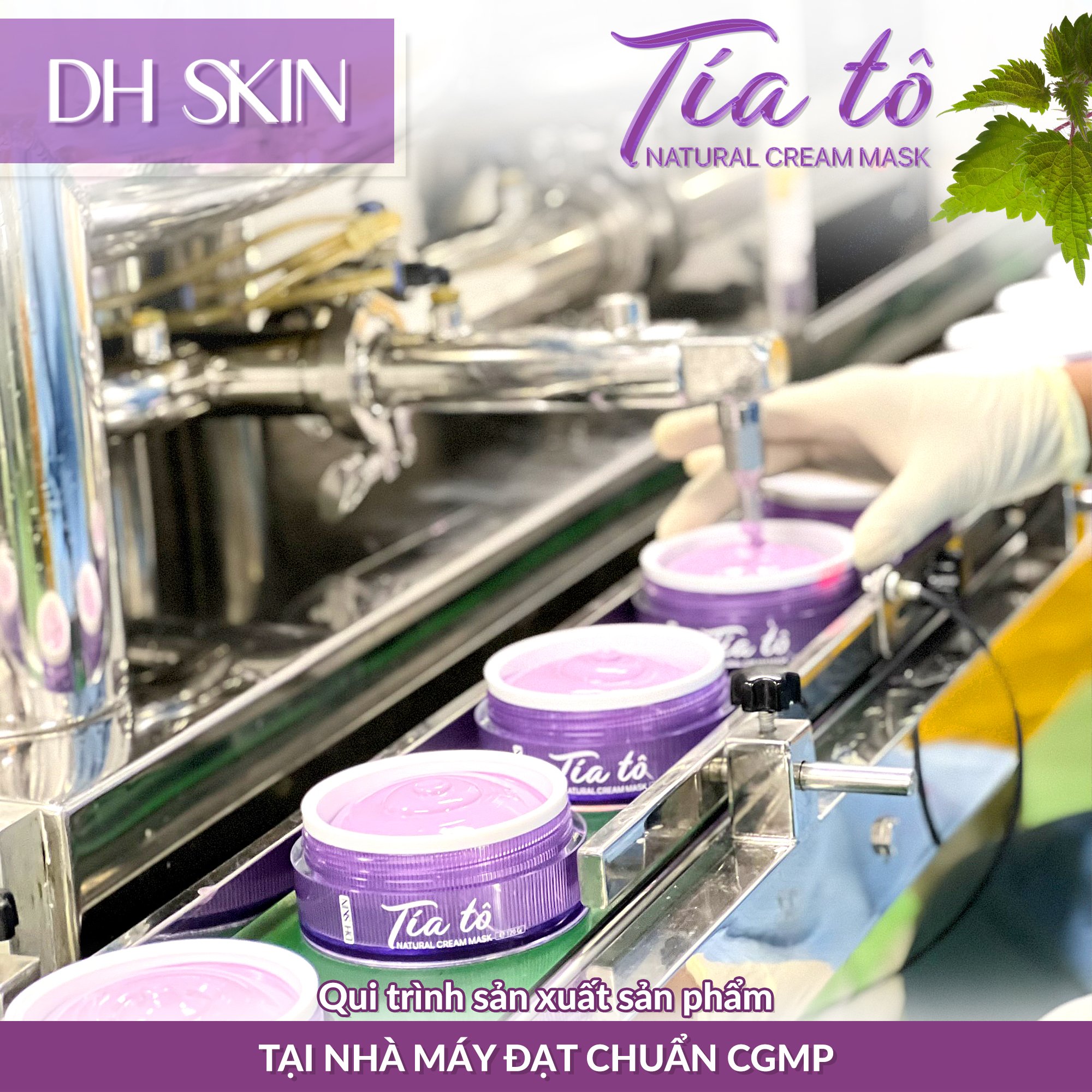 Đắp Mặt Nạ Tía Tô Mỗi Ngày Đắp Mặt Nạ Tía Tô Mỗi Ngày