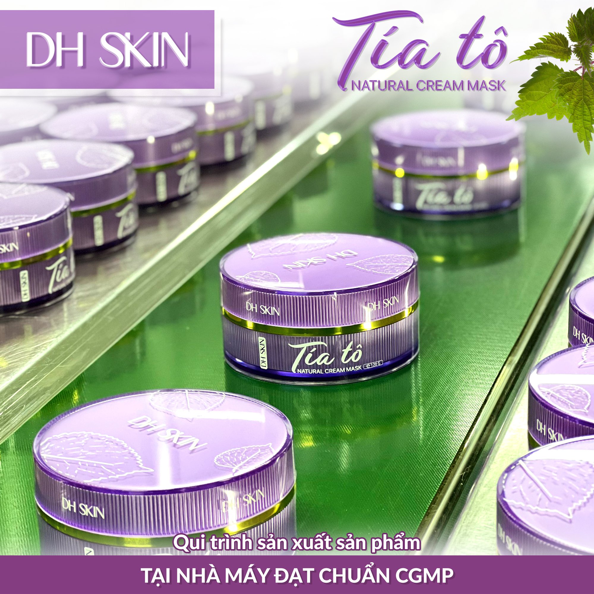 Đắp Mặt Nạ Tía Tô Mỗi Ngày Đắp Mặt Nạ Tía Tô Mỗi Ngày