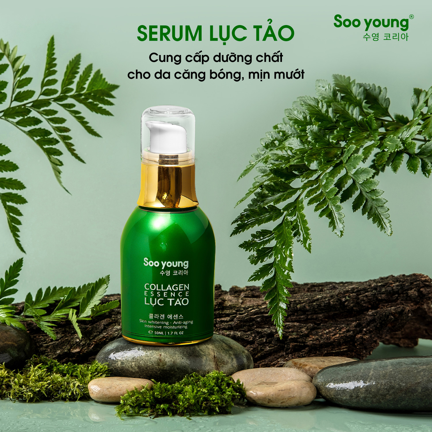 Combo Dưỡng Trắng Da Mờ Thâm Nám Soo Young Combo Dưỡng Trắng Da Mờ Thâm Nám Soo Young