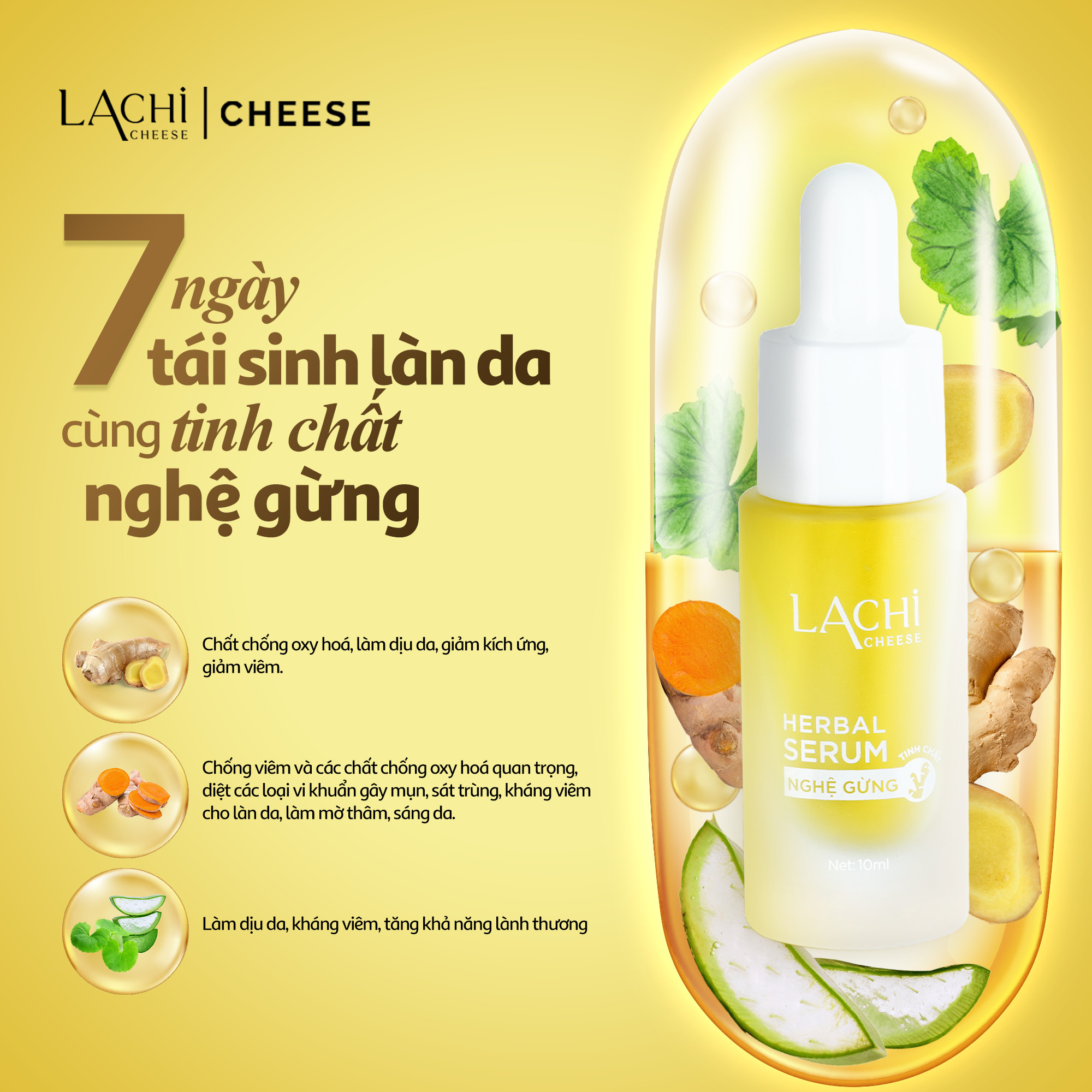 Tinh Chất Nghệ Gừng Lachi Cheese Chính Hãng Tinh Chất Nghệ Gừng Lachi Cheese Chính Hãng