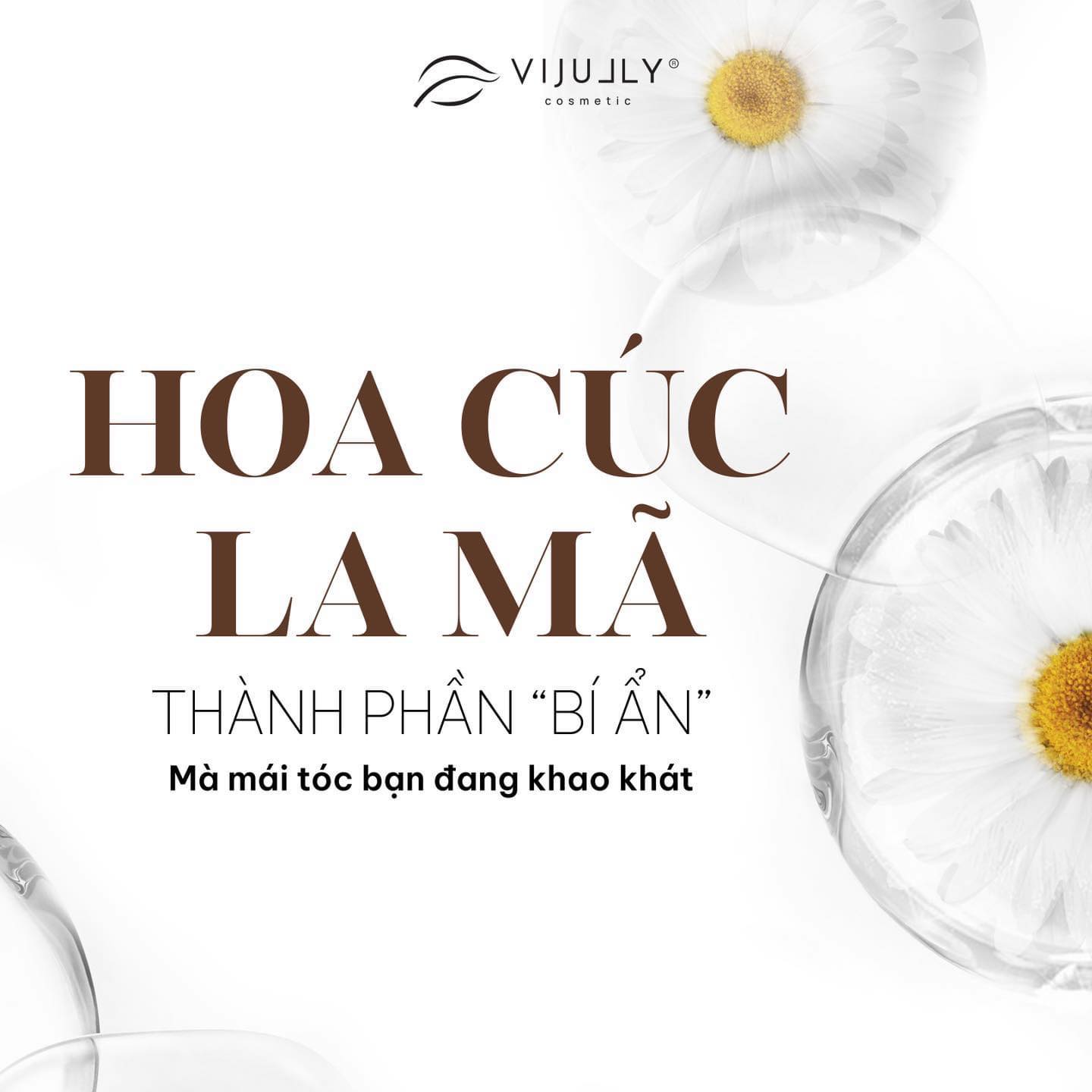 Hoa cúc la mã thành phần bí ẩn mà mái tóc của bạn đang khao khát Hoa cúc la mã thành phần bí ẩn mà mái tóc của bạn đang khao khát