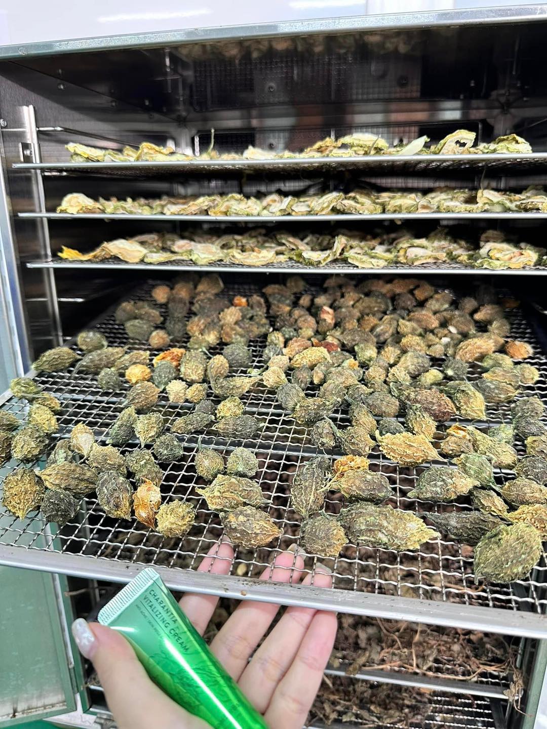 Cứu cách cho làn da dầu mụn hiệu quả sau 7 ngày sử dụng Cứu cách cho làn da dầu mụn hiệu quả sau 7 ngày sử dụng