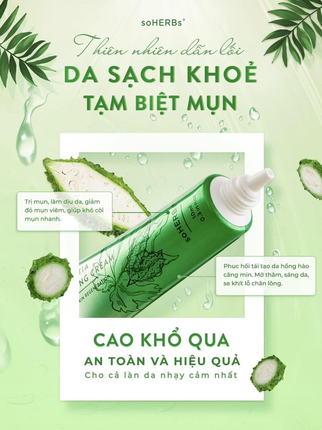 Một sản phẩm trị mụn lành tính hiệu quả cao đứng top hiện nay cao khổ qua trị mụn Soherbs